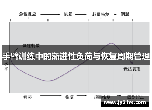 手臂训练中的渐进性负荷与恢复周期管理